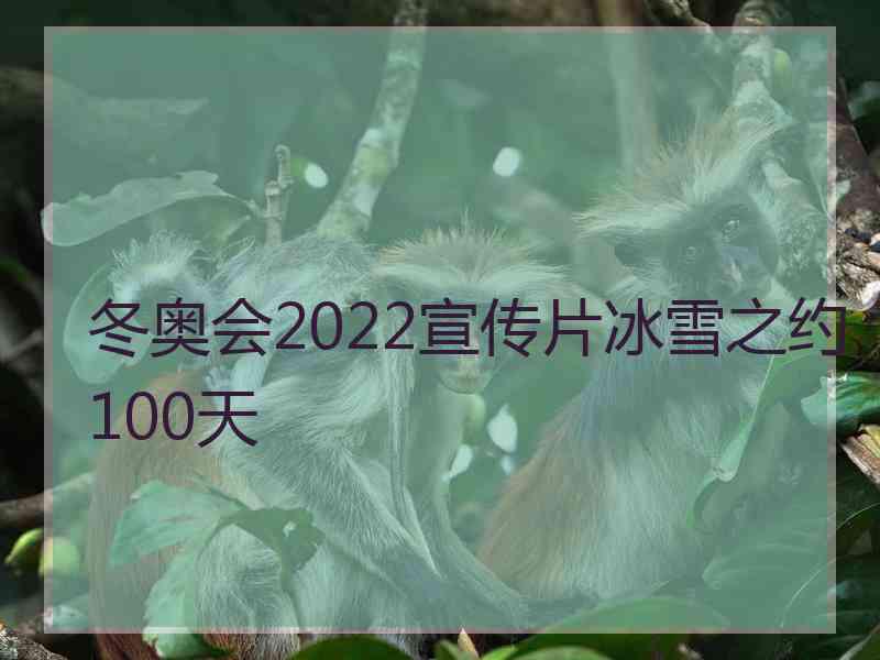 冬奥会2022宣传片冰雪之约100天