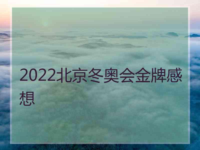 2022北京冬奥会金牌感想