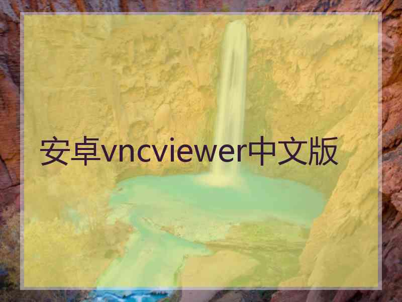 安卓vncviewer中文版