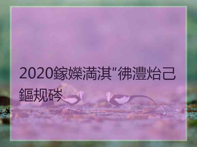 2020鎵嬫満淇″彿澧炲己鏂规硶