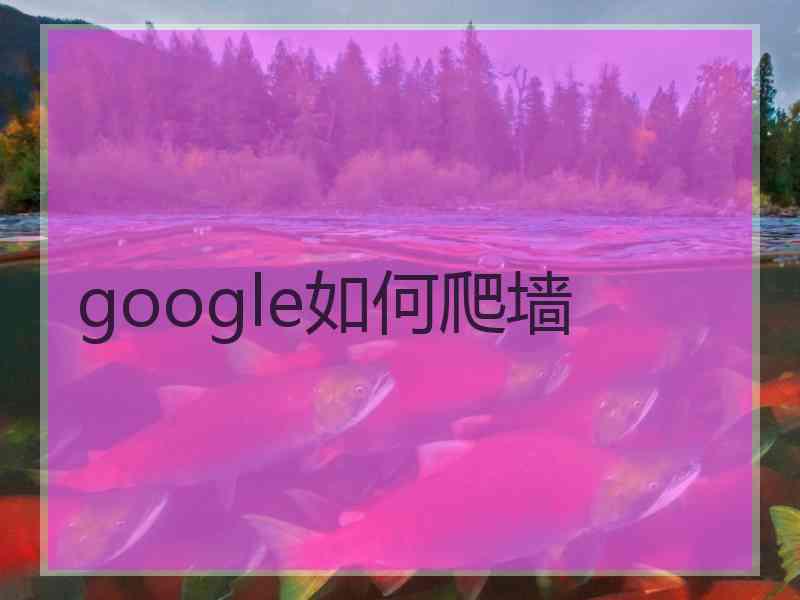 google如何爬墙