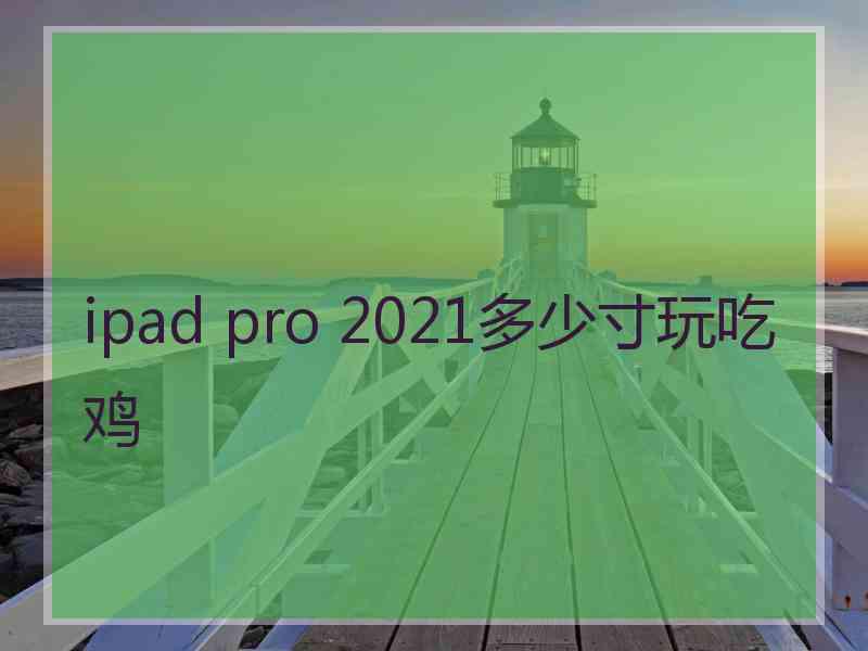 ipad pro 2021多少寸玩吃鸡