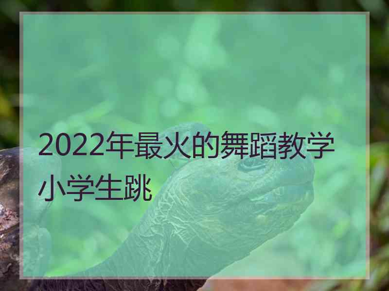 2022年最火的舞蹈教学小学生跳