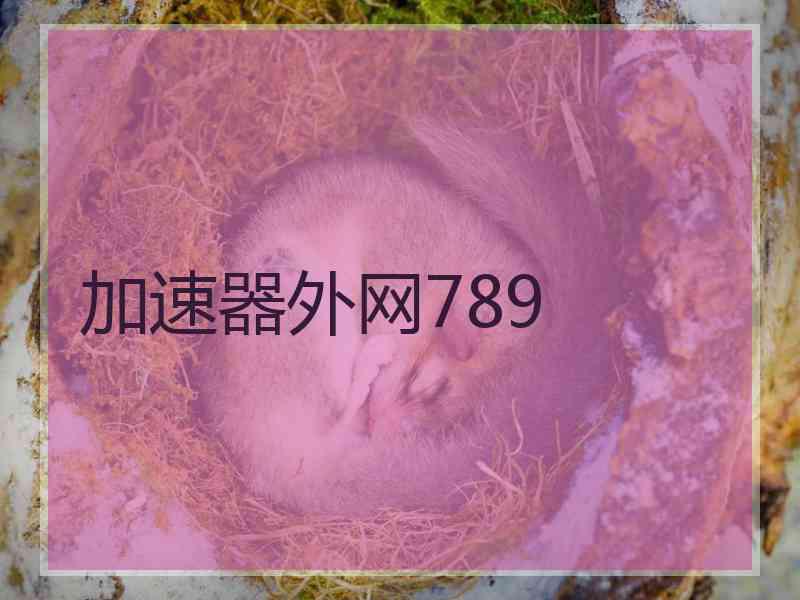 加速器外网789