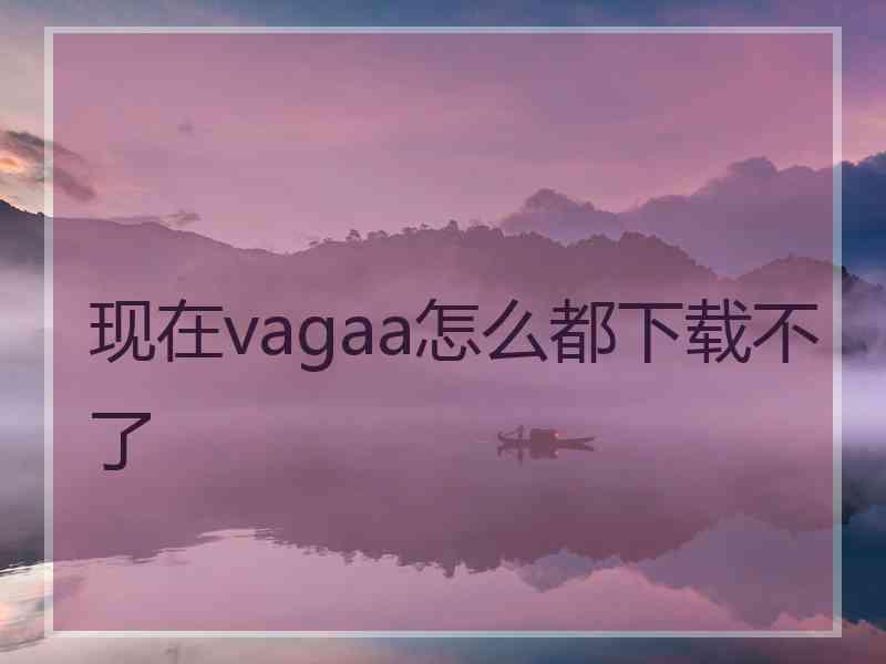 现在vagaa怎么都下载不了