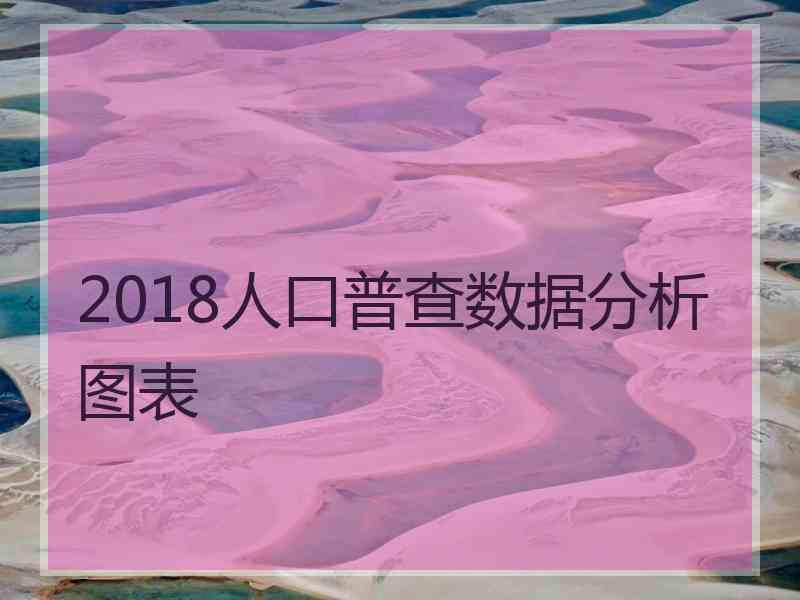 2018人口普查数据分析图表