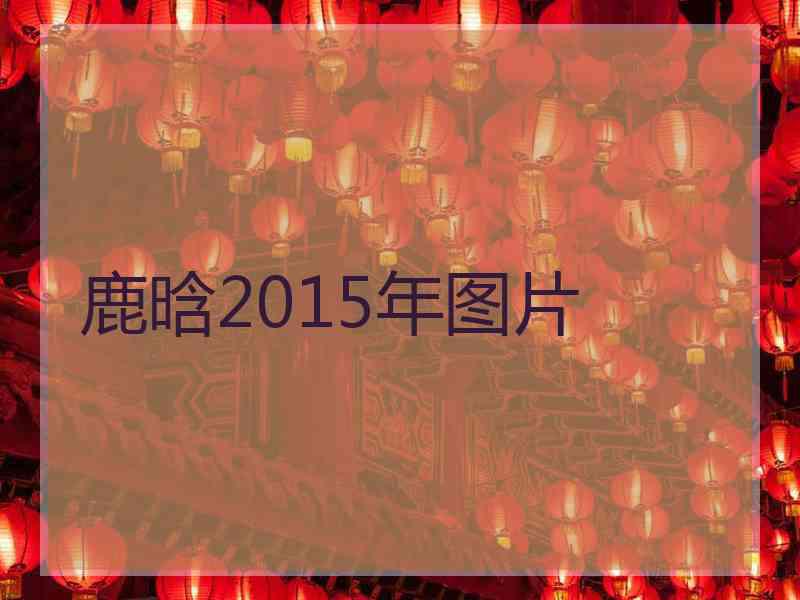 鹿晗2015年图片