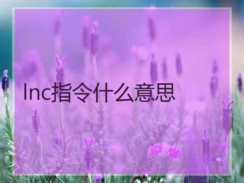 lnc指令什么意思