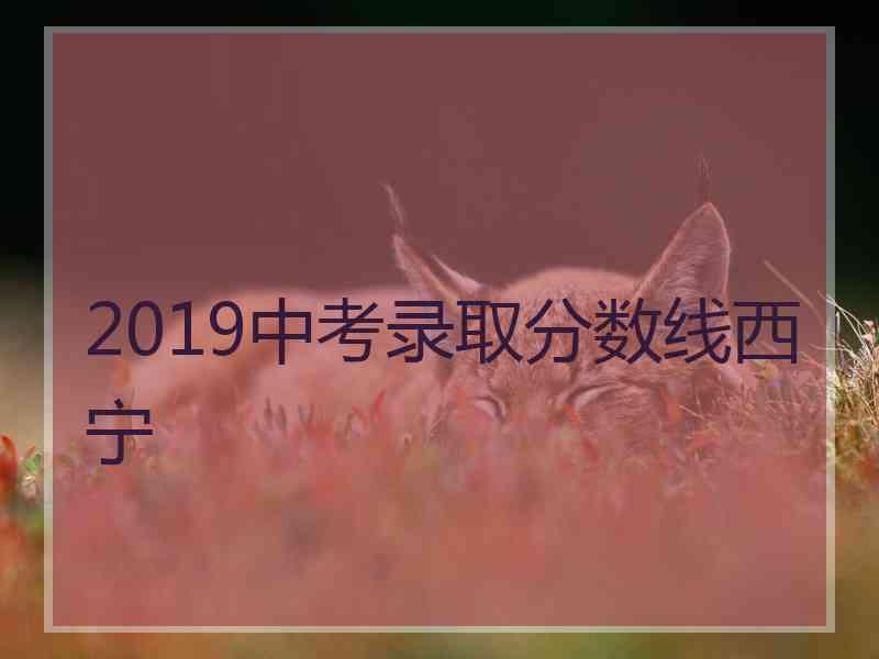 2019中考录取分数线西宁