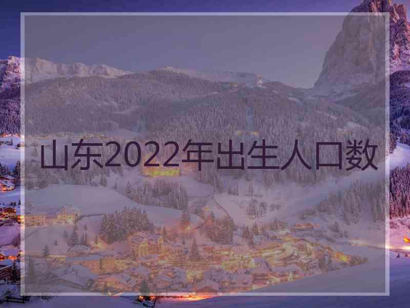 山东2022年出生人口数