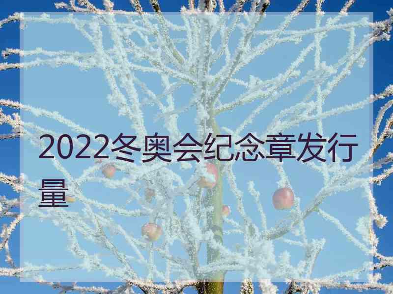 2022冬奥会纪念章发行量