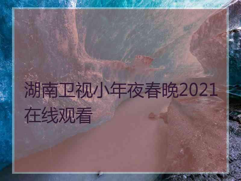 湖南卫视小年夜春晚2021在线观看