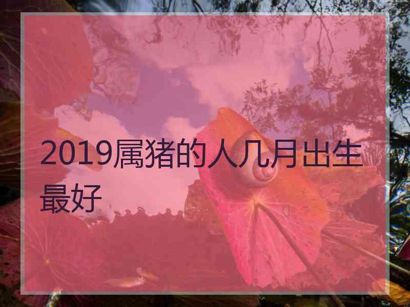 2019属猪的人几月出生最好