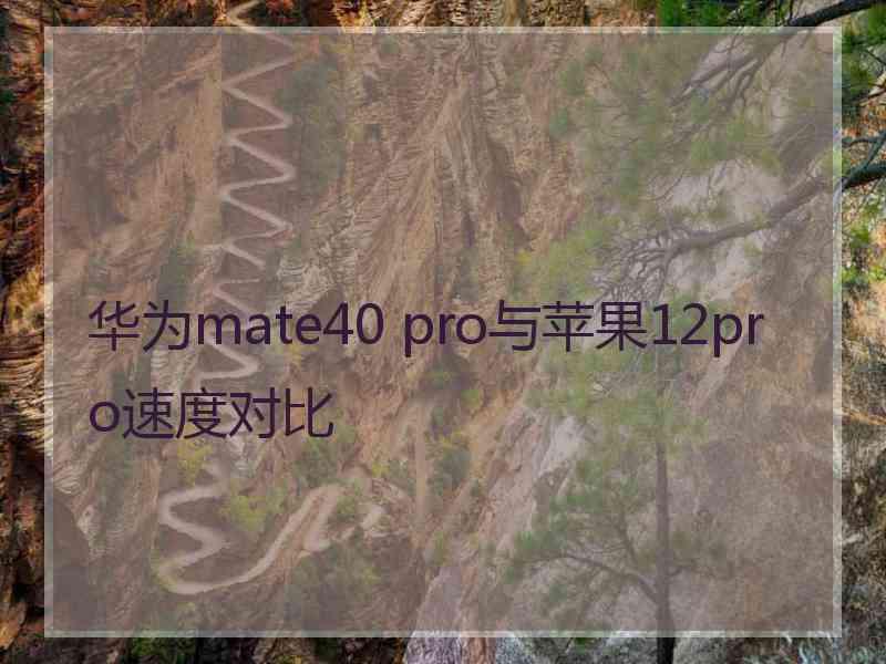 华为mate40 pro与苹果12pro速度对比