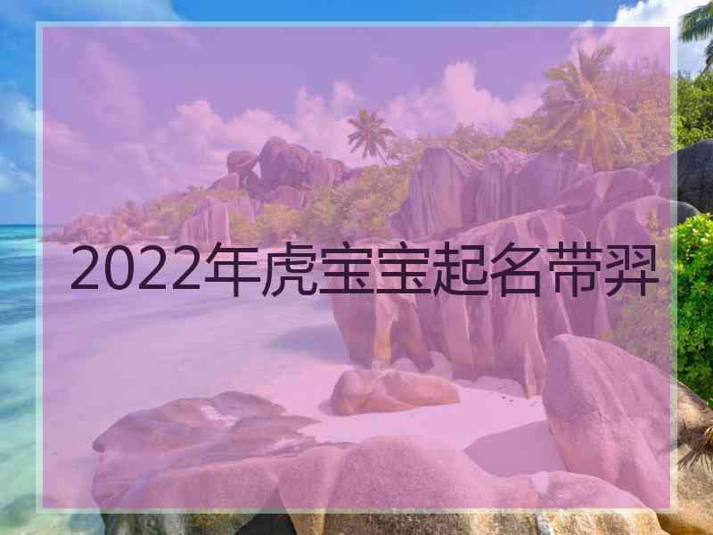 2022年虎宝宝起名带羿