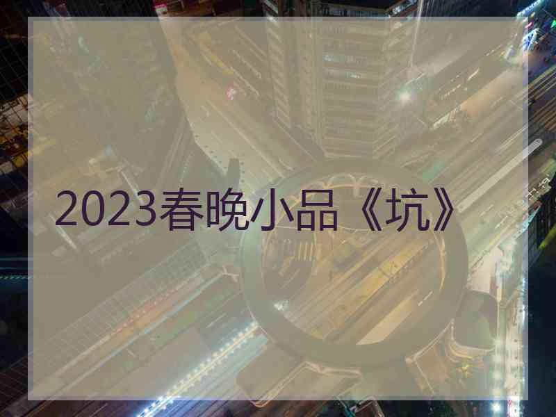 2023春晚小品《坑》