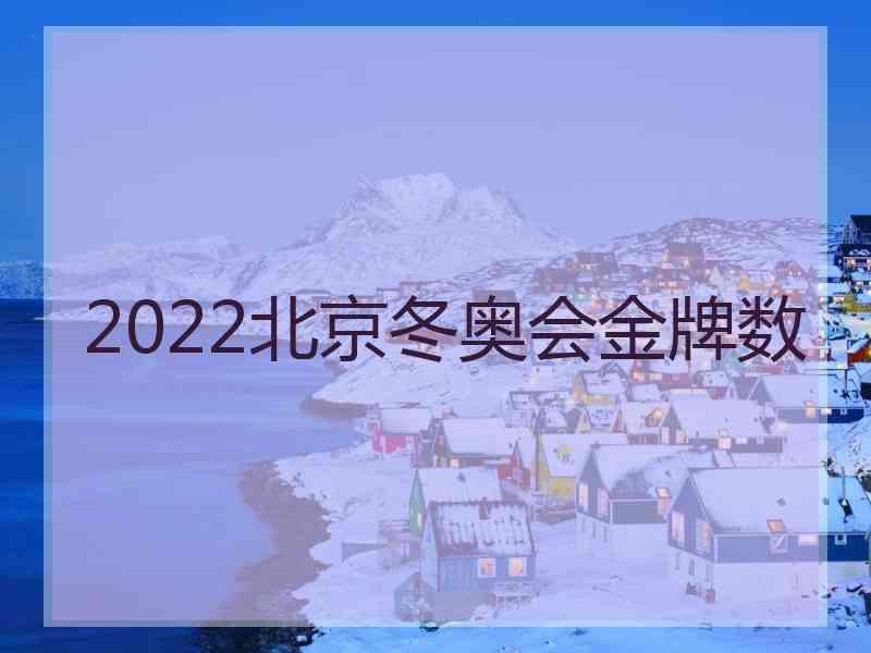 2022北京冬奥会金牌数