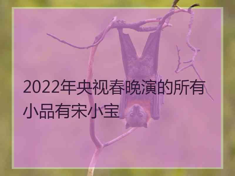 2022年央视春晚演的所有小品有宋小宝