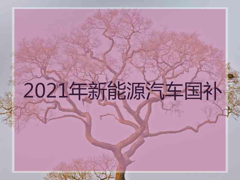 2021年新能源汽车国补