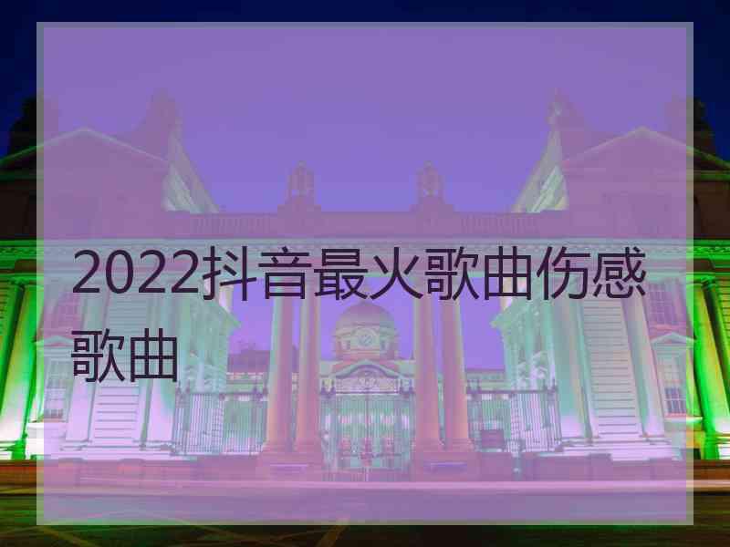 2022抖音最火歌曲伤感歌曲