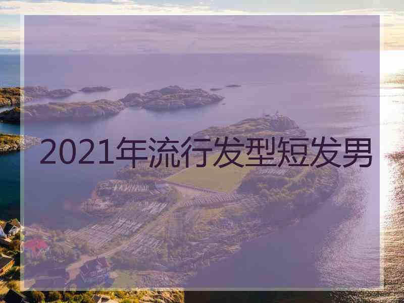 2021年流行发型短发男