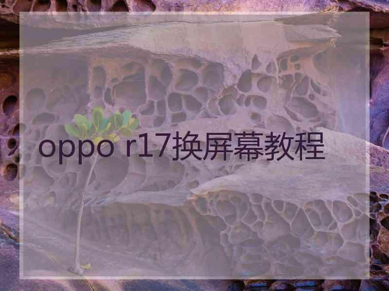 oppo r17换屏幕教程