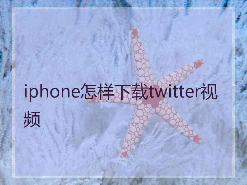 iphone怎样下载twitter视频