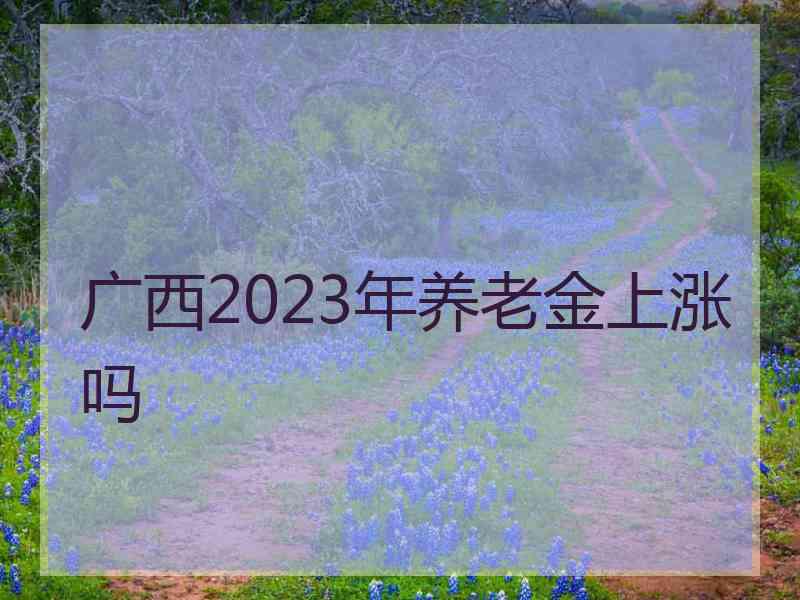 广西2023年养老金上涨吗