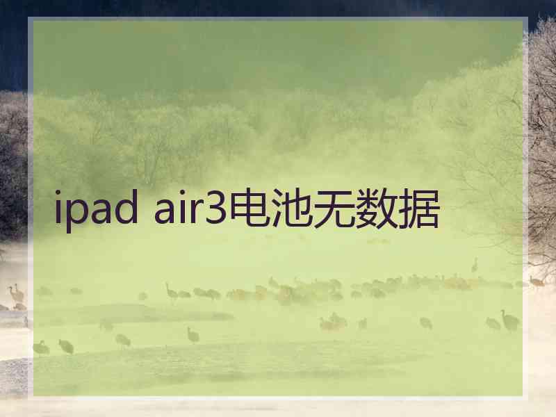 ipad air3电池无数据