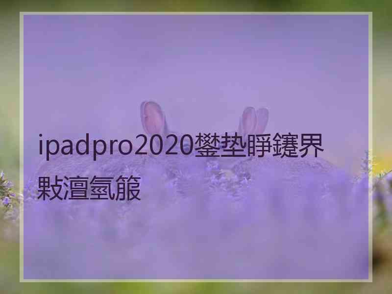 ipadpro2020鐢垫睜鑳界敤澶氫箙