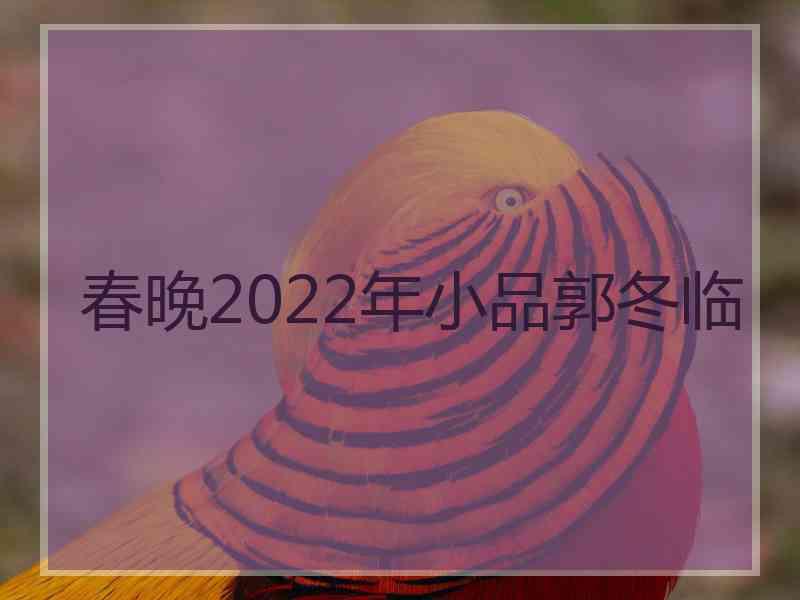 春晚2022年小品郭冬临