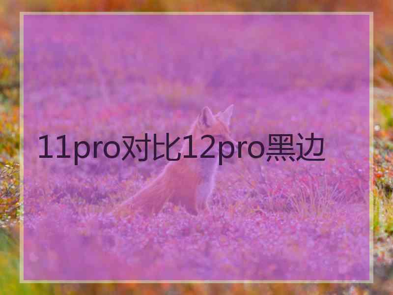 11pro对比12pro黑边