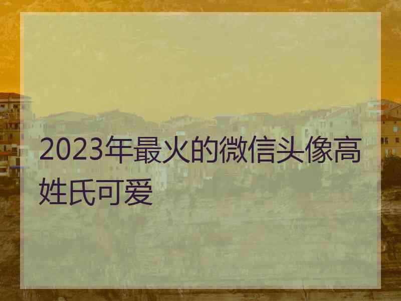 2023年最火的微信头像高姓氏可爱