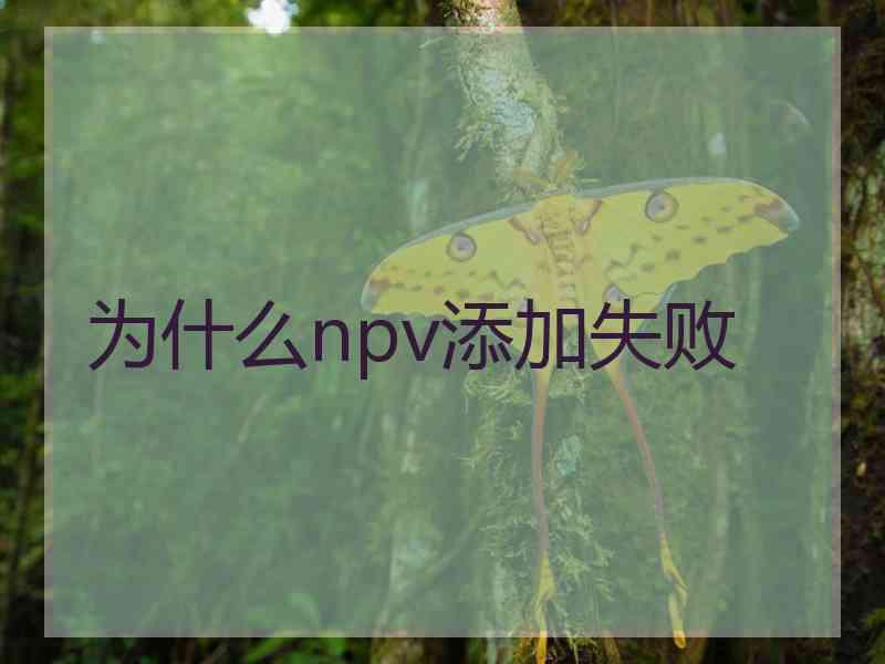 为什么npv添加失败