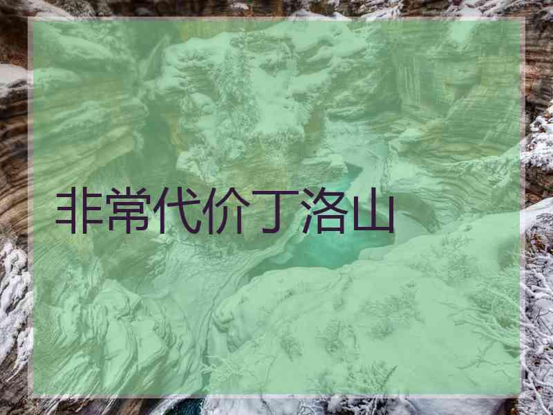 非常代价丁洛山