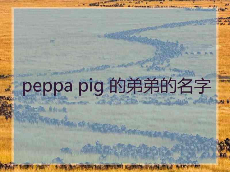 peppa pig 的弟弟的名字