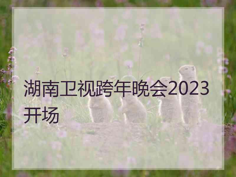 湖南卫视跨年晚会2023开场