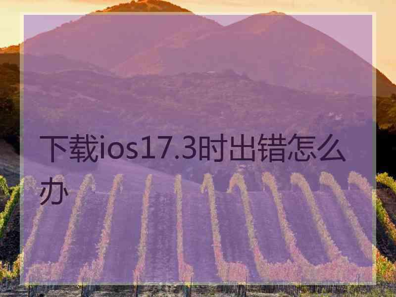 下载ios17.3时出错怎么办