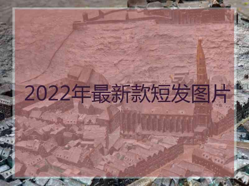 2022年最新款短发图片