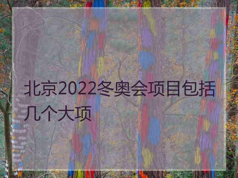 北京2022冬奥会项目包括几个大项