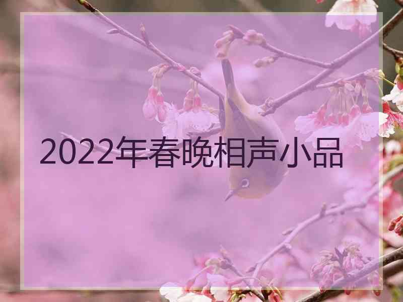 2022年春晚相声小品