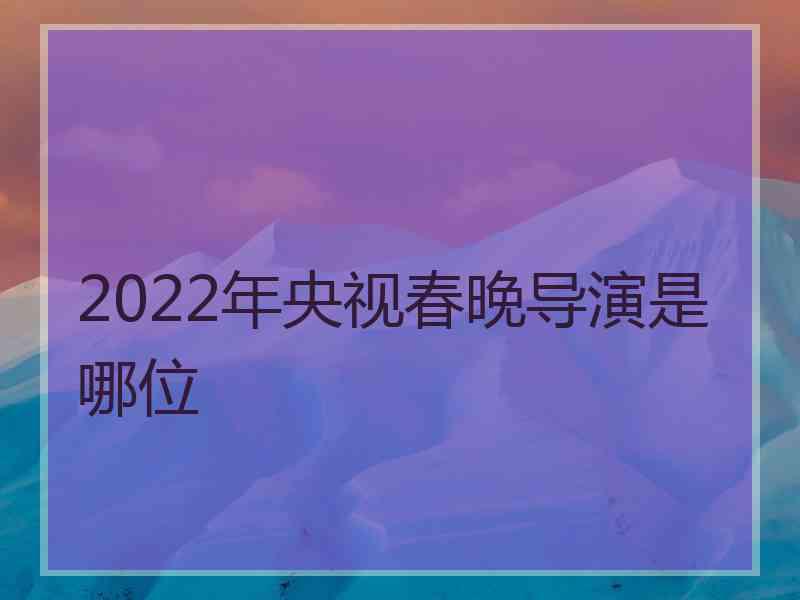 2022年央视春晚导演是哪位