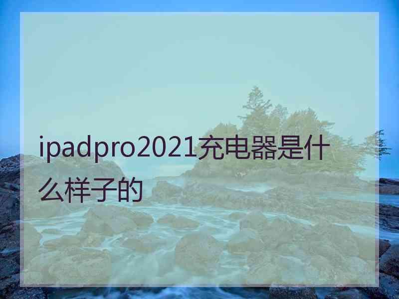 ipadpro2021充电器是什么样子的