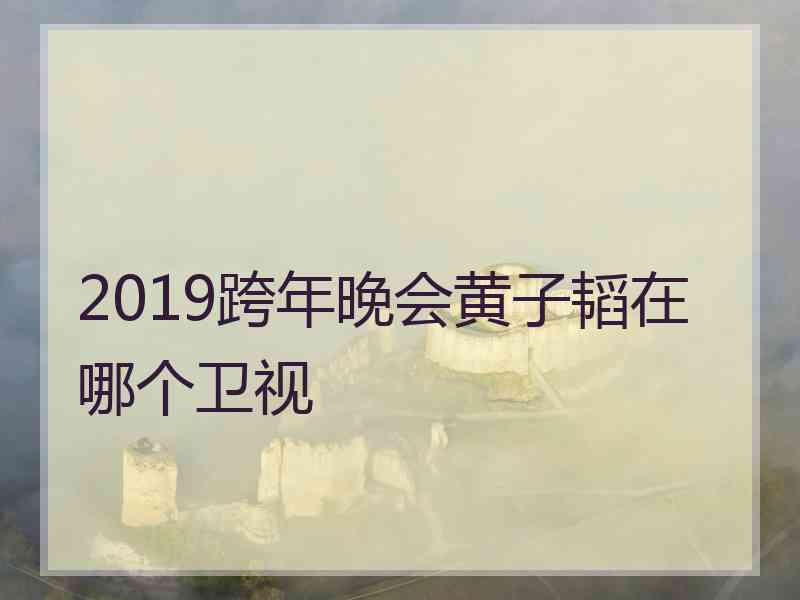 2019跨年晚会黄子韬在哪个卫视