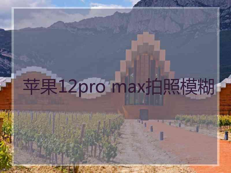 苹果12pro max拍照模糊