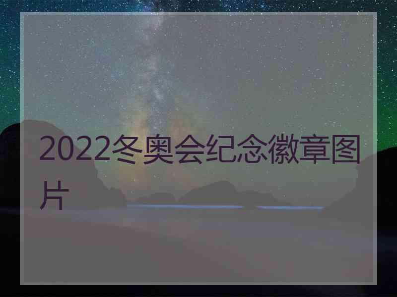 2022冬奥会纪念徽章图片