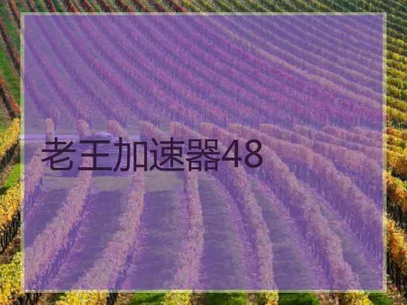 老王加速器48