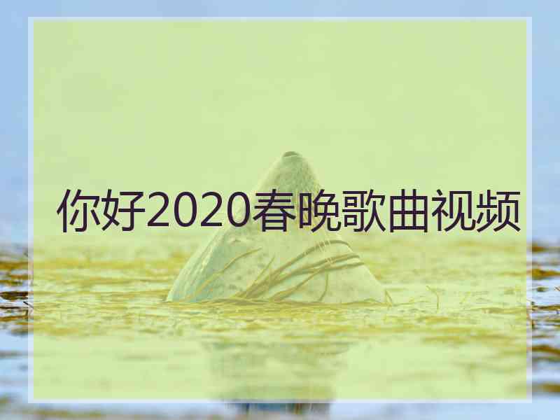 你好2020春晚歌曲视频