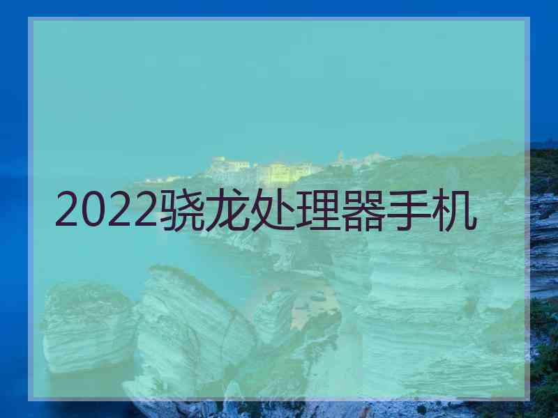 2022骁龙处理器手机