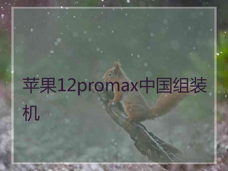 苹果12promax中国组装机